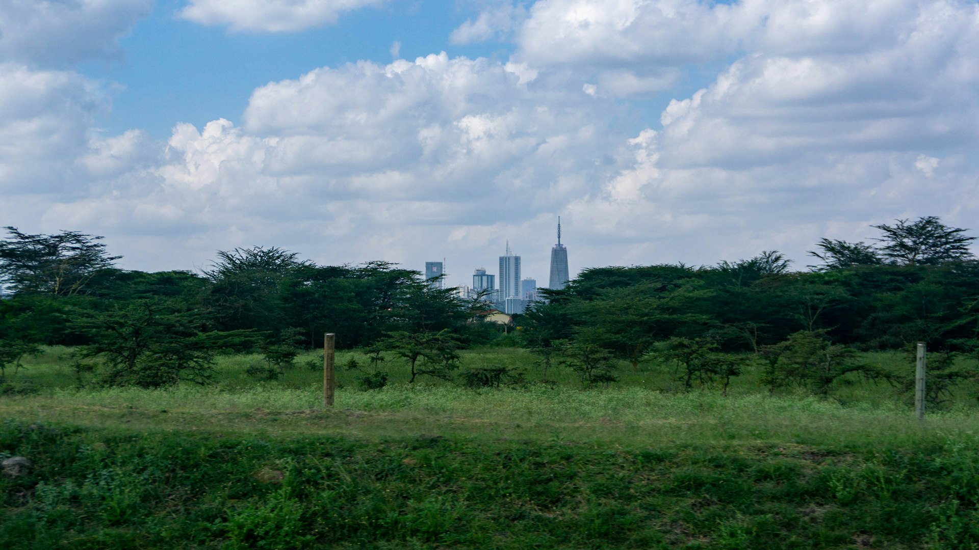 Nairobi's skyline seen across the savanna, symbolising the breadth of sectors IFC serves